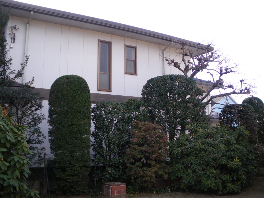 新座市個人邸剪定後2