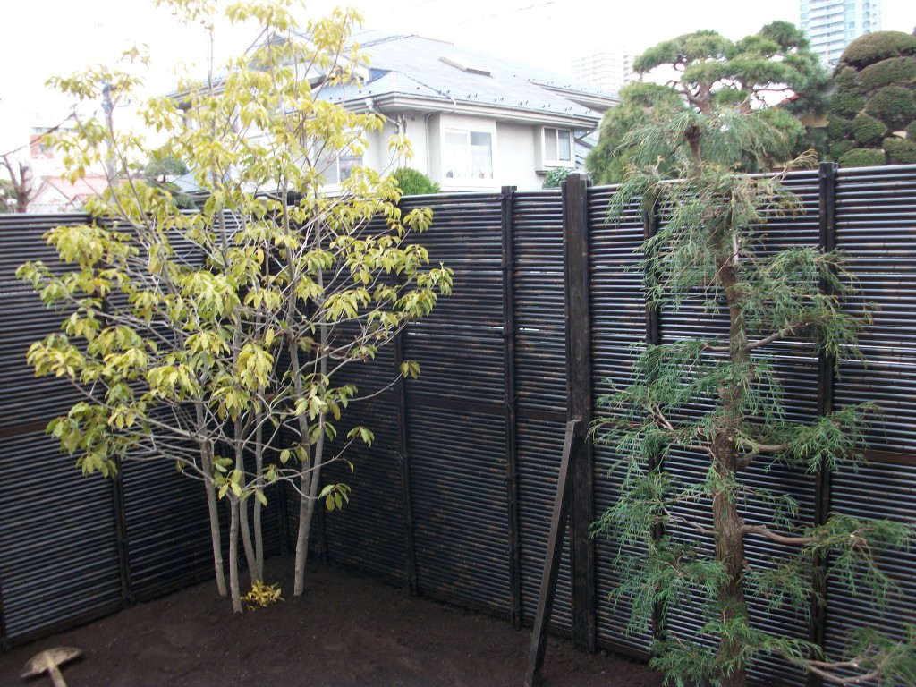 PENTAX DIGITAL CAMERA