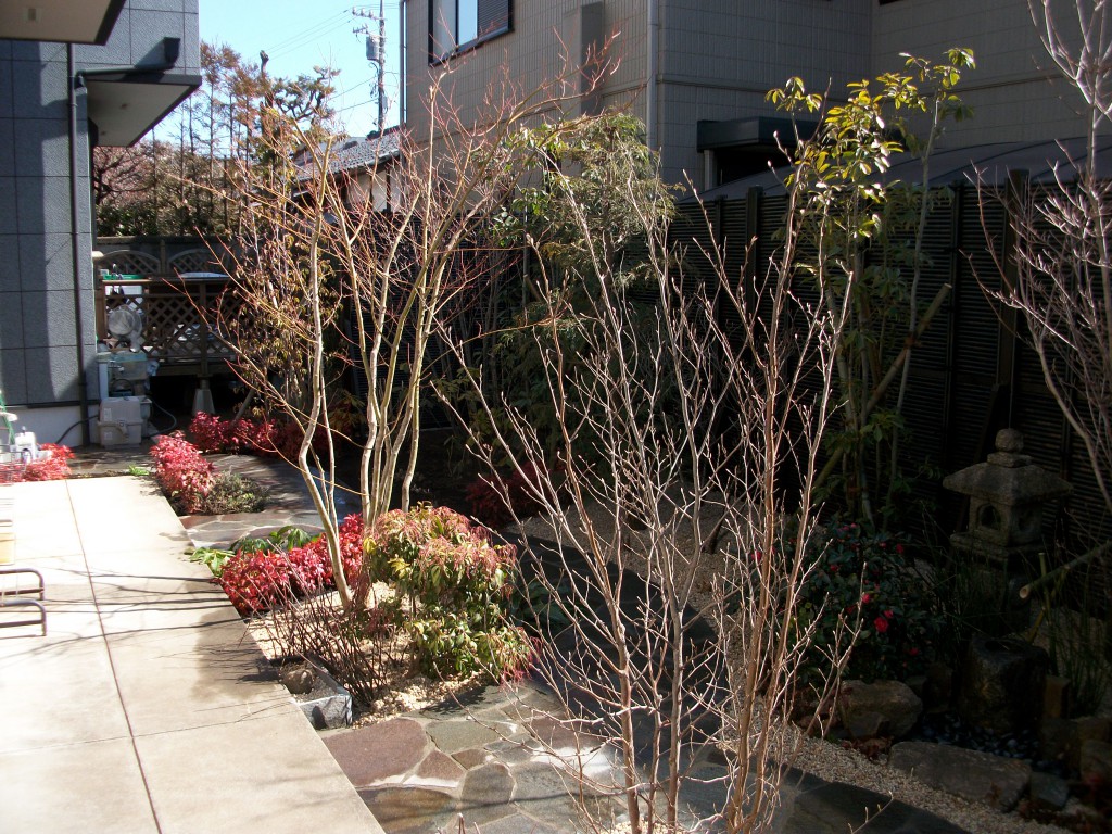 PENTAX DIGITAL CAMERA