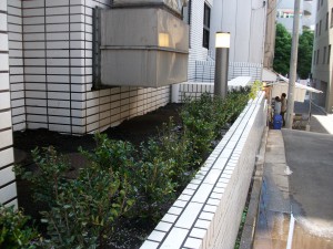 PENTAX DIGITAL CAMERA