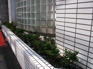 PENTAX DIGITAL CAMERA