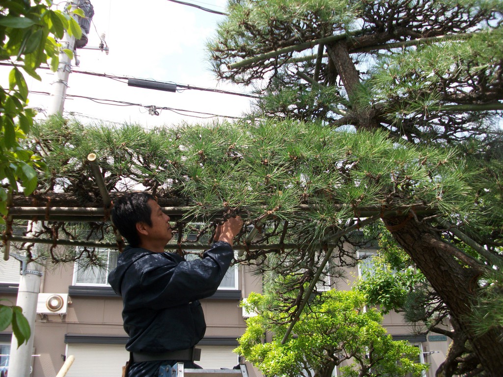 PENTAX DIGITAL CAMERA