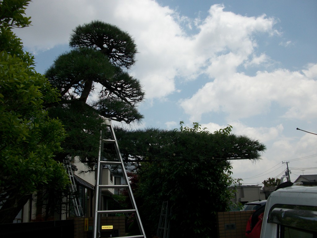 PENTAX DIGITAL CAMERA