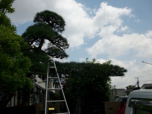 PENTAX DIGITAL CAMERA