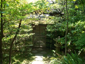 PENTAX DIGITAL CAMERA