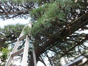 PENTAX DIGITAL CAMERA