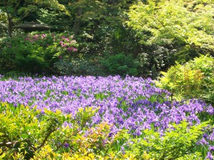 PENTAX DIGITAL CAMERA