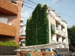 PENTAX DIGITAL CAMERA