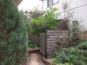 PENTAX DIGITAL CAMERA