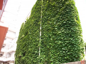 PENTAX DIGITAL CAMERA