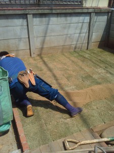 世田谷区　芝張り３