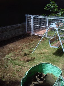 荒れてしまった芝