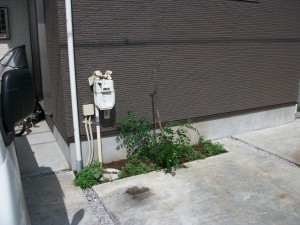 PENTAX DIGITAL CAMERA