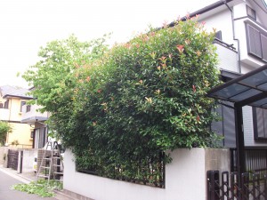 PENTAX DIGITAL CAMERA