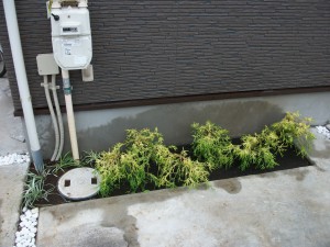 PENTAX DIGITAL CAMERA