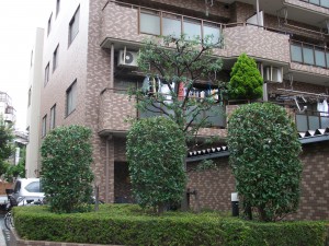 PENTAX DIGITAL CAMERA