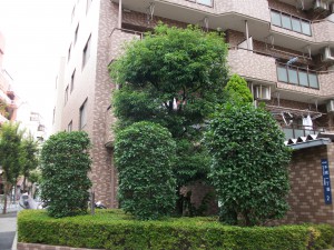 PENTAX DIGITAL CAMERA