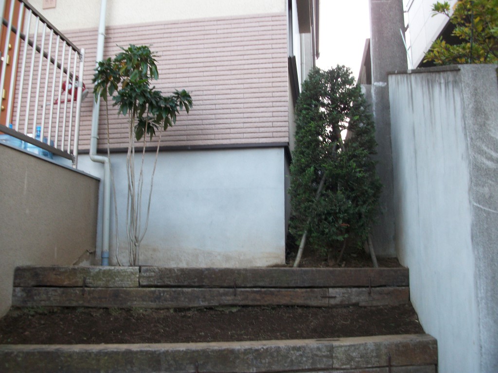 PENTAX DIGITAL CAMERA