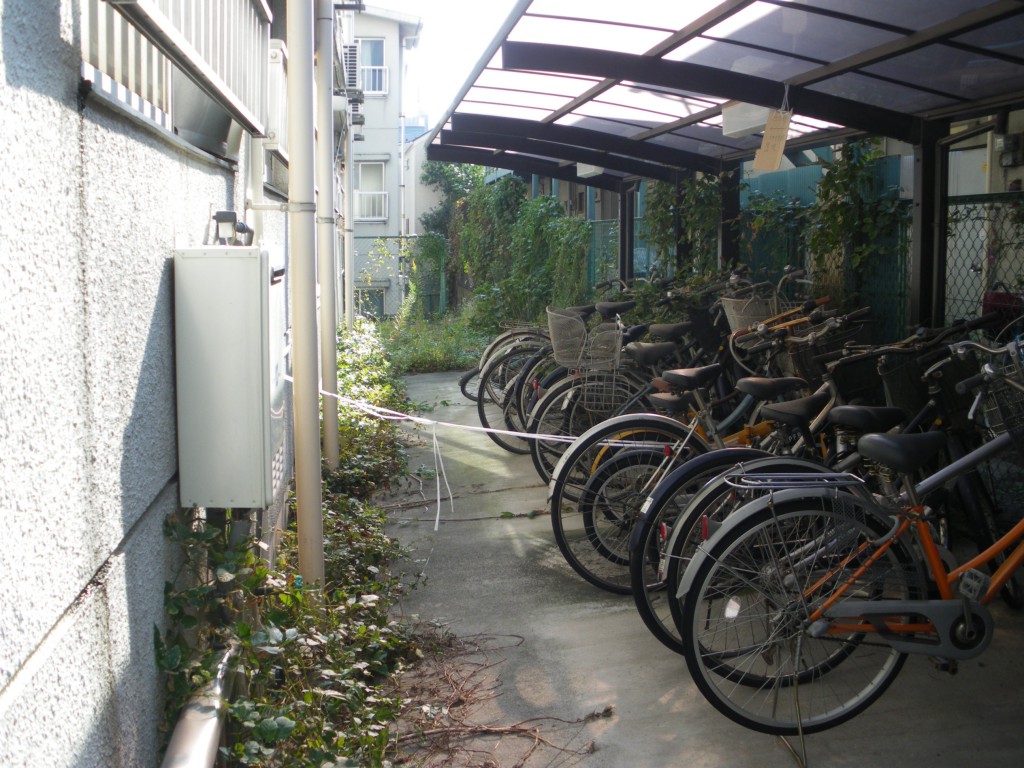 新宿区集合住宅・除草作業前