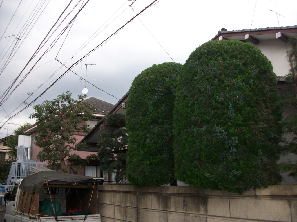 PENTAX DIGITAL CAMERA