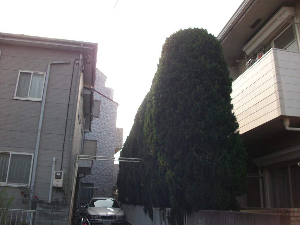 PENTAX DIGITAL CAMERA