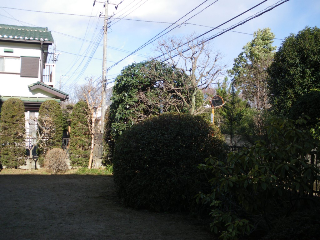 新座市個人邸・剪定後