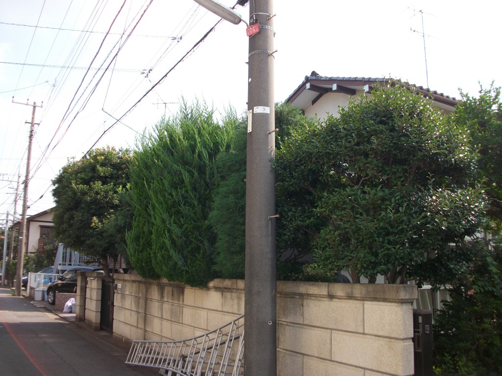 PENTAX DIGITAL CAMERA