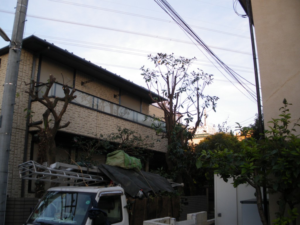 個人邸剪定作業後