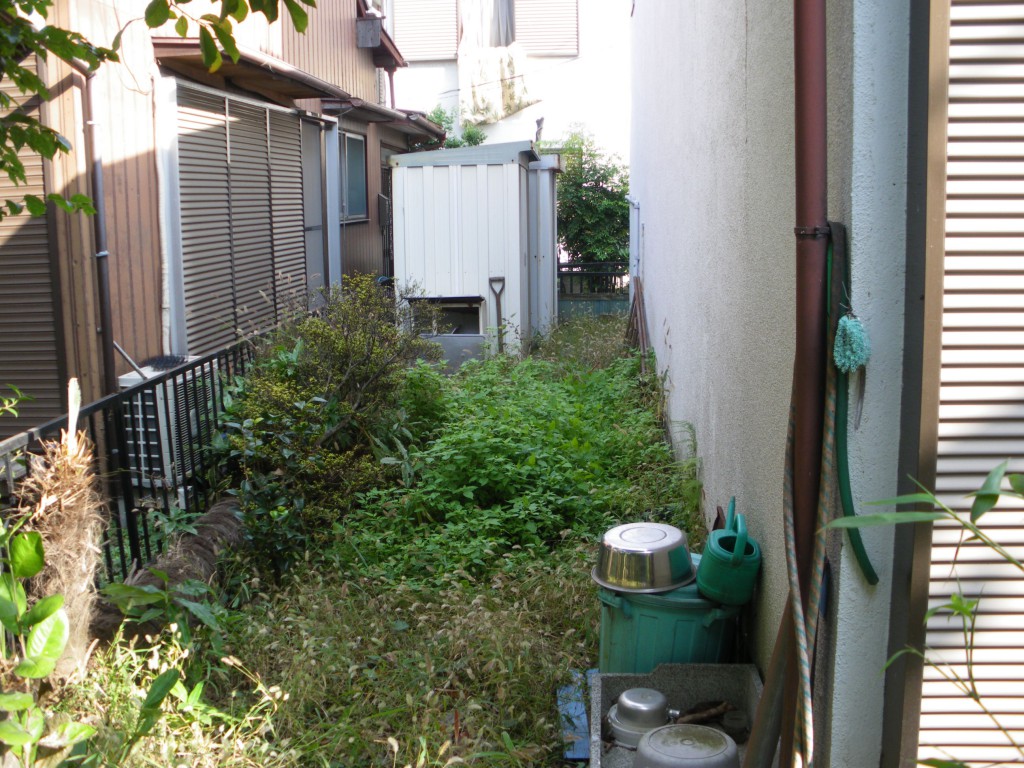 豊島区個人邸・除草作業前