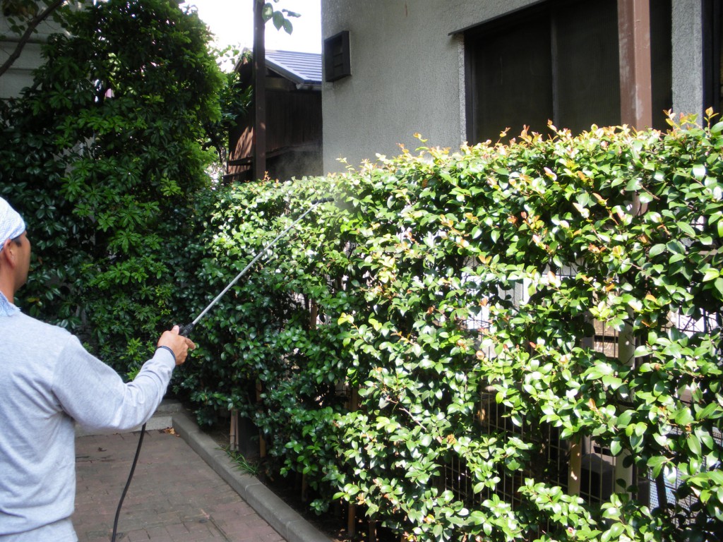 殺虫在散布作業