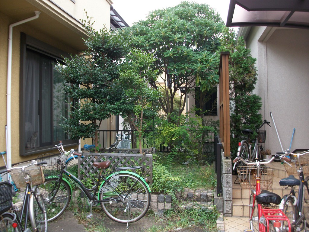 PENTAX DIGITAL CAMERA