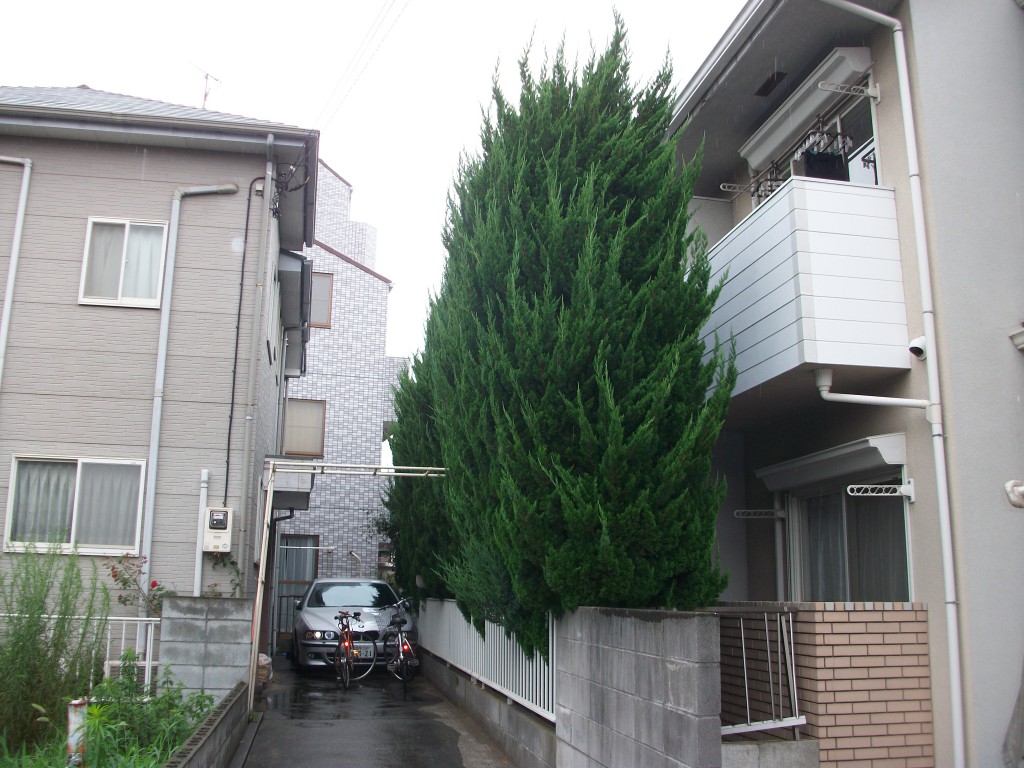 PENTAX DIGITAL CAMERA