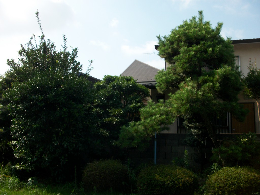 PENTAX DIGITAL CAMERA