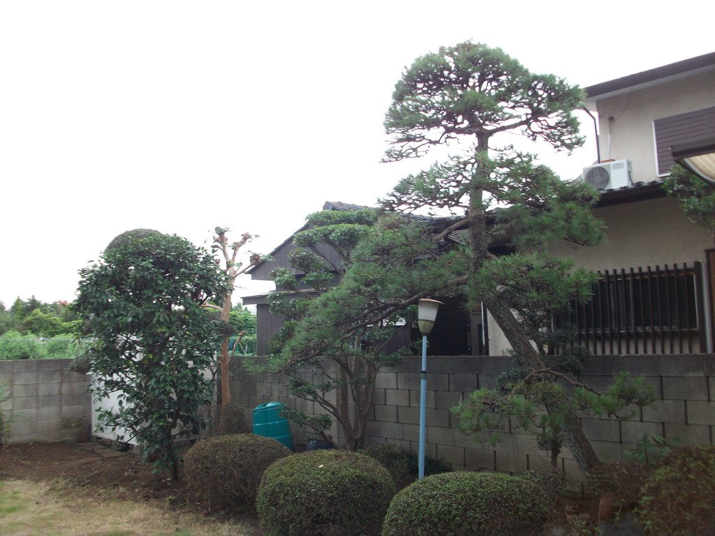 PENTAX DIGITAL CAMERA