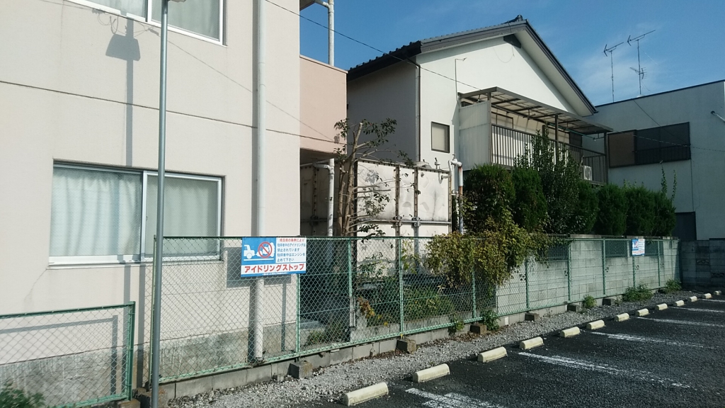 マンションの敷地内に実生で生えたクロガネモチの剪定 練馬区の造園屋さん グリーン企画 マンションの敷地内に実生で生えたクロガネモチの剪定 練馬区の造園屋さん グリーン企画